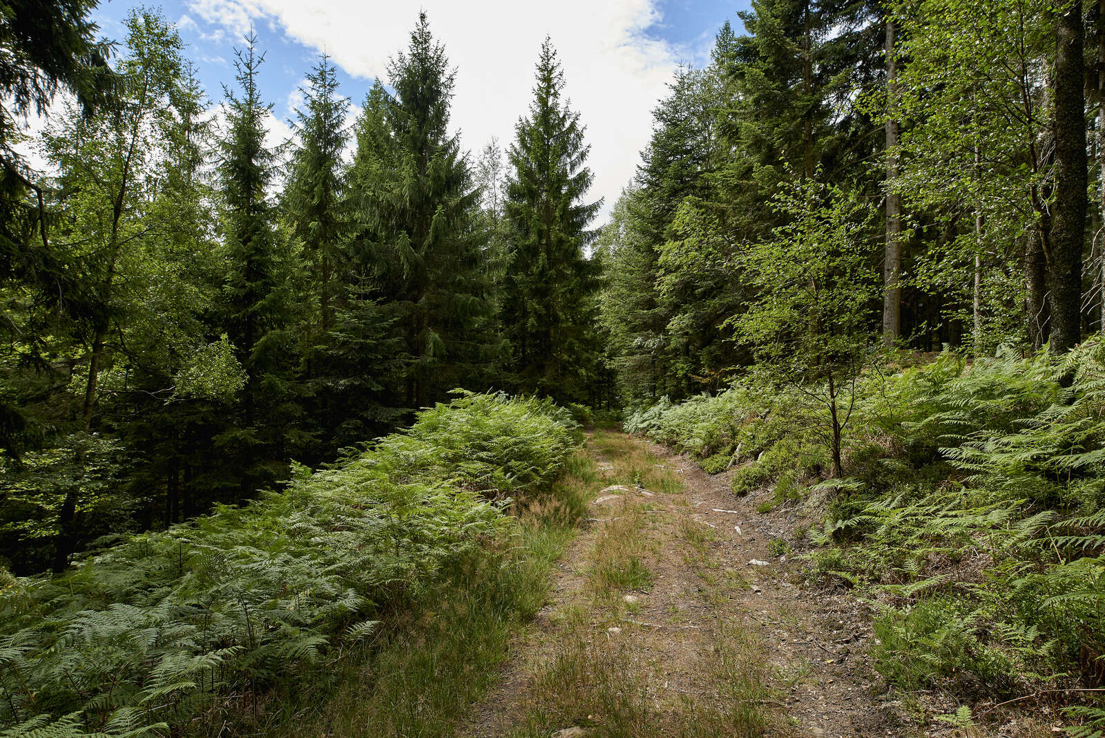 Circuit rando H21 Le tour de la Haute vallée de la Bruche Schirmeck